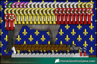 Horse Color:Grullo Rabicano 