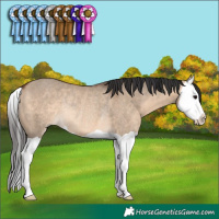Horse Color:Brown Dun Splash Rabicano 