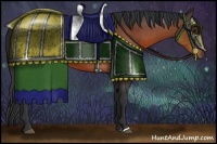 Horse Color:Bay Rabicano 