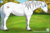 Horse Color:Watercolor Liver Chestnut Sabino Varnish Rabicano