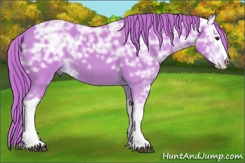 Horse Color:Watercolor Liver Chestnut Ice Sabino