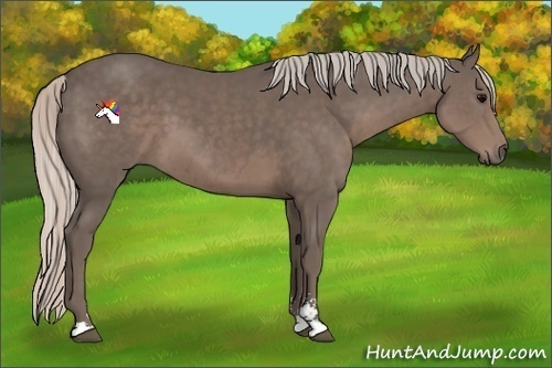 Horse Color:Silver Black Sabino