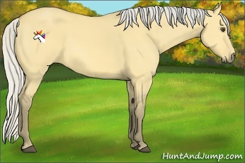 Horse Color:Silver Buckskin Dun 