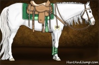 Horse Color:Silver Bay Roan Dun Appaloosa 