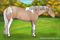 Horse Color:Silver Black Pearl Tobiano