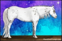 Horse Color:Silver Black Sabino Rabicano 