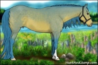 Horse Color:Watercolor Buckskin 
