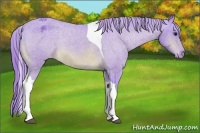 Horse Color:Watercolor Buckskin Tobiano Varnish Rabicano 