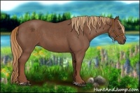 Horse Color:Red Roan Sabino