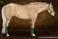 Horse Color:Silver Sable Champagne Frame  Brindle