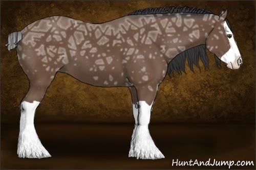Horse Color:Buckskin Ice Splash