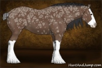 Horse Color:Buckskin Ice Splash 