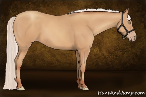 Horse Color:Silver Amber Champagne Frame 