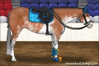 Horse Color:Bay Sabino 