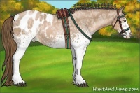 Horse Color:White Spotted Liver Chestnut Ice Pearl Sabino Blanket