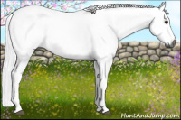 Horse Color:Gray Brown 