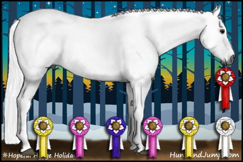 Horse Color:Gray Brown 