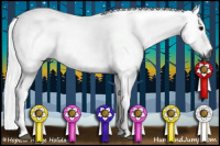 Horse Color:Gray Brown 