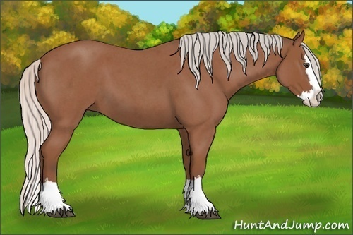 Horse Color:Silver Bay Roan Splash