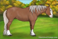 Horse Color:Silver Bay Roan Splash 