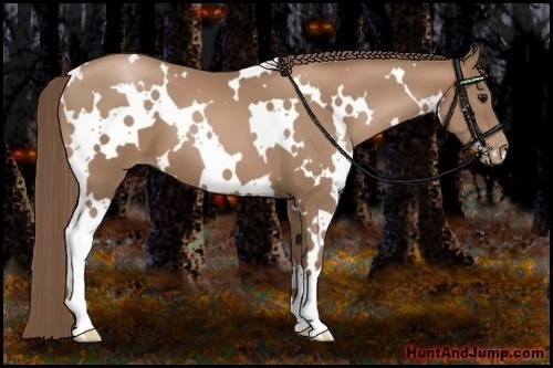 Horse Color:White Spotted Black Pearl 