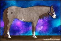 Horse Color:Liver Red Roan Sabino 