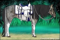 Horse Color:Bay Ice Sabino Tobiano 