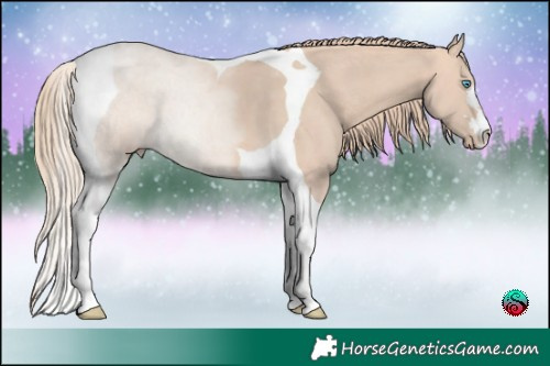 Horse Color:Perlino Tobiano 