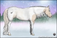 Horse Color:Perlino Tobiano 