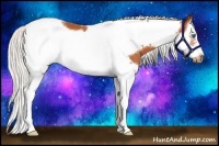 Horse Color:Silver Bay Splash Tobiano Frame 