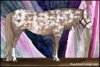 Horse Color:Liver Chestnut Ice Sabino Rabicano