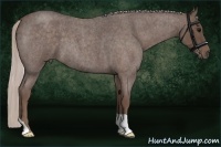 Horse Color:Silver Blue Roan 
