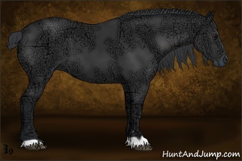 Horse Color:Black Ice 