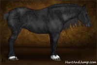 Horse Color:Black Ice 