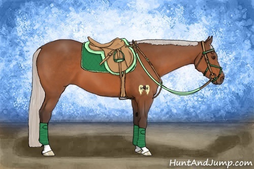 Horse Color:Silver Bay 