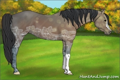 Horse Color:Brown Ice 