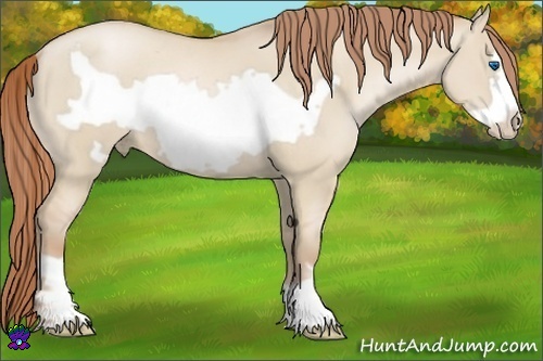Horse Color:Smoky Grullo Pearl Frame 