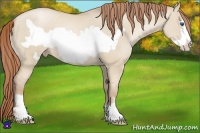 Horse Color:Smoky Grullo Pearl Frame 