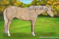 Horse Color:Palomino Ice 