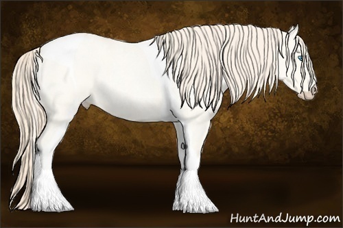 Horse Color:Perlino Roan Tobiano 