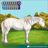 Horse Color:White Spotted Perlino 