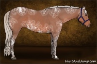 Horse Color:Silver Bay Ice Frame 