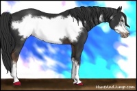 Horse Color:Liver Chestnut Frame 
