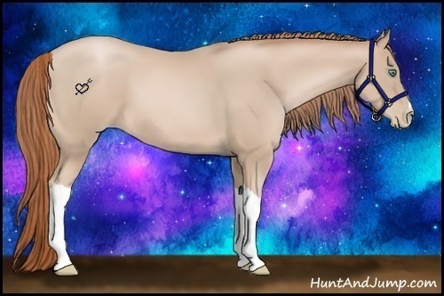 Horse Color:Smoky Black Pearl