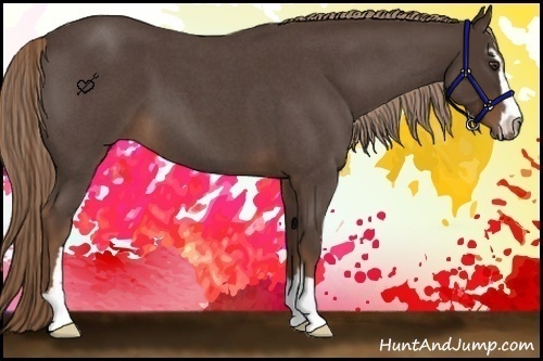 Horse Color:Liver Red Roan Sabino