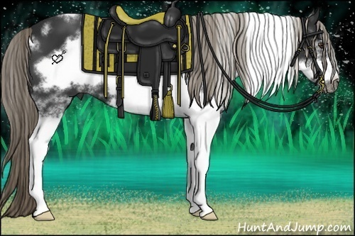 Horse Color:White Spotted Liver Chestnut Frame 