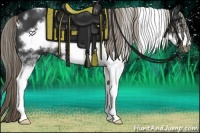 Horse Color:White Spotted Liver Chestnut Frame 
