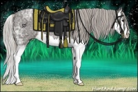 Horse Color:Silver Blue Ice Roan Splash 