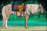 Horse Color:Palomino Ice Rabicano 