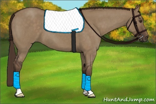 Horse Color:Liver Red Dun Roan 